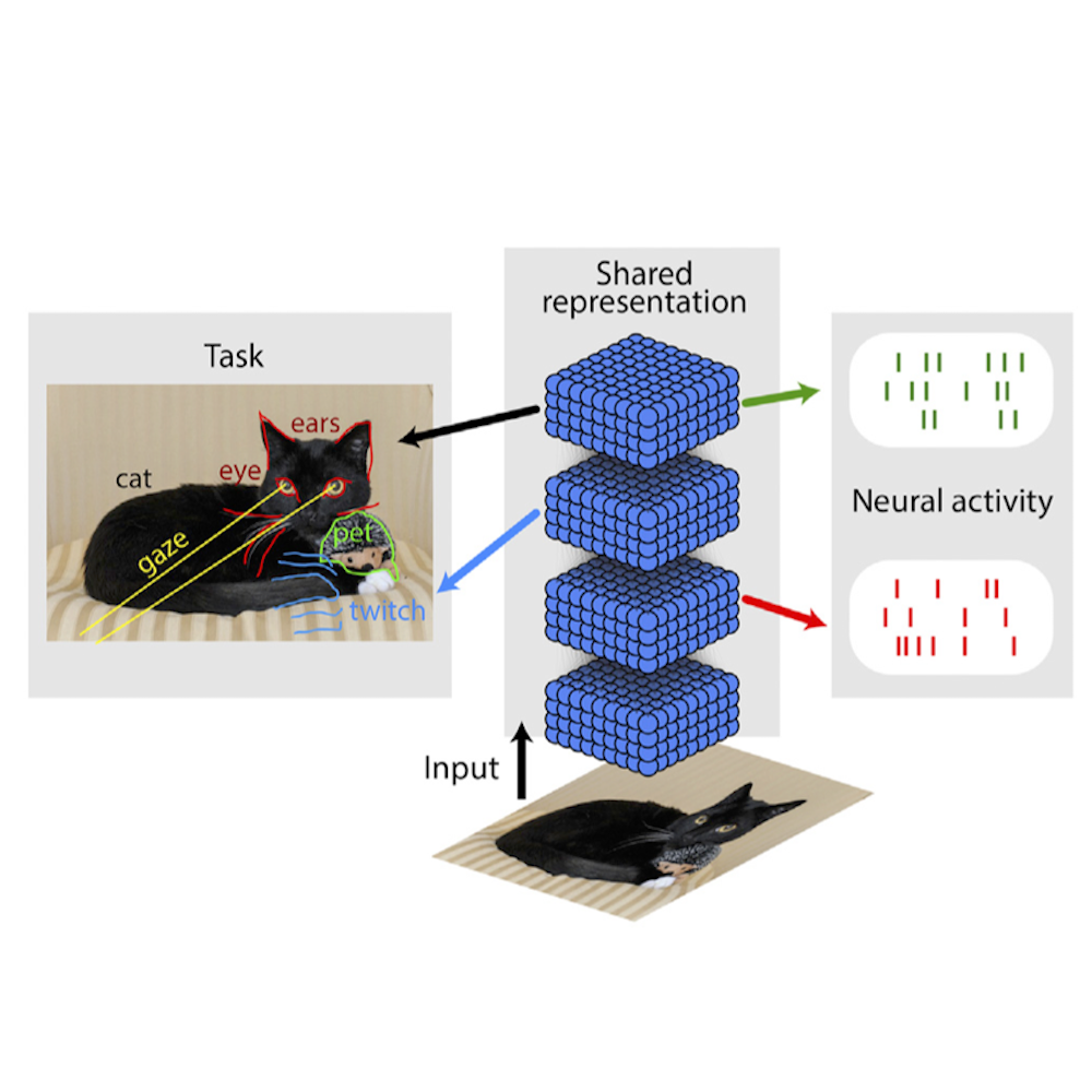 Machine Learning and Neuroscience