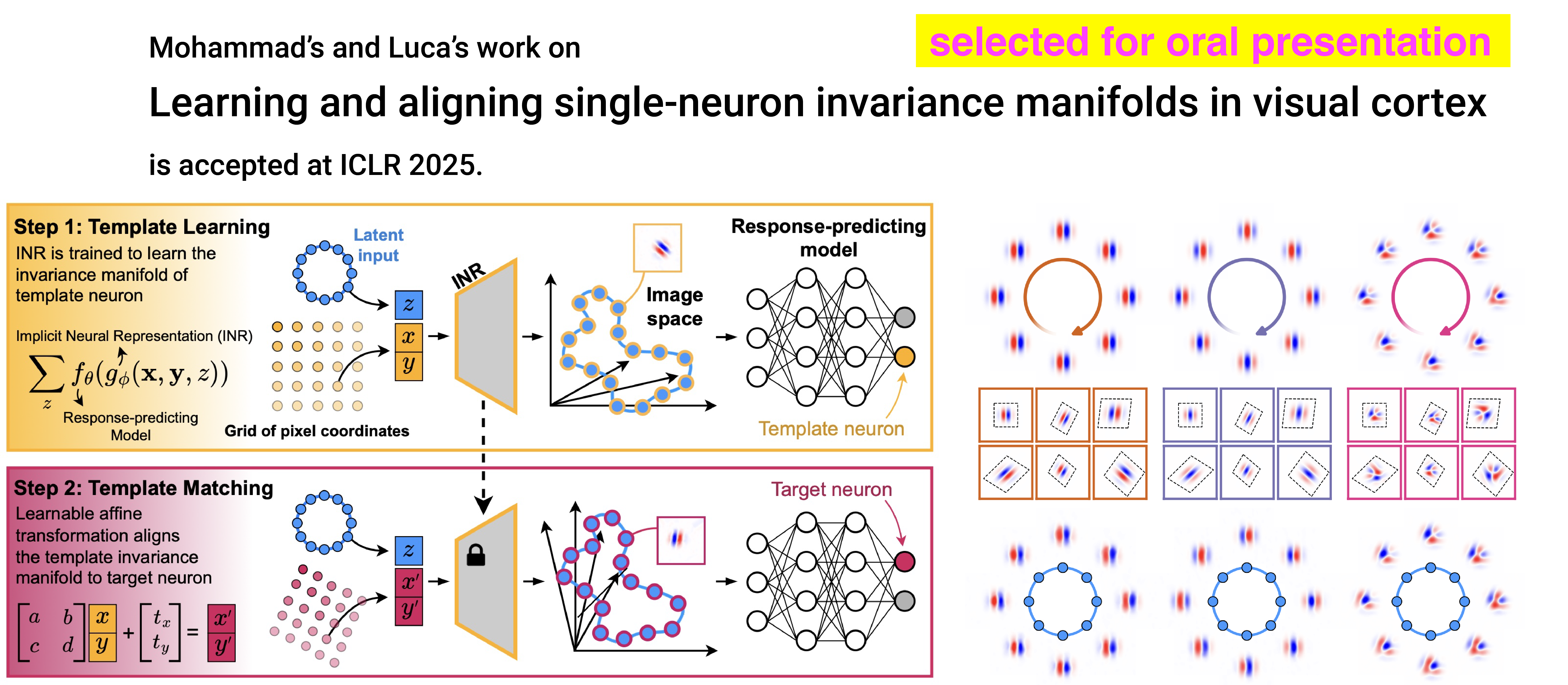 Our paper Learning and aligning single-neuron invariance manifolds in visual cortex has been accepted at ICLR 2025.