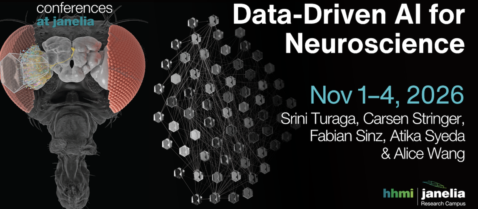 Data-Driven AI for Neuroscience