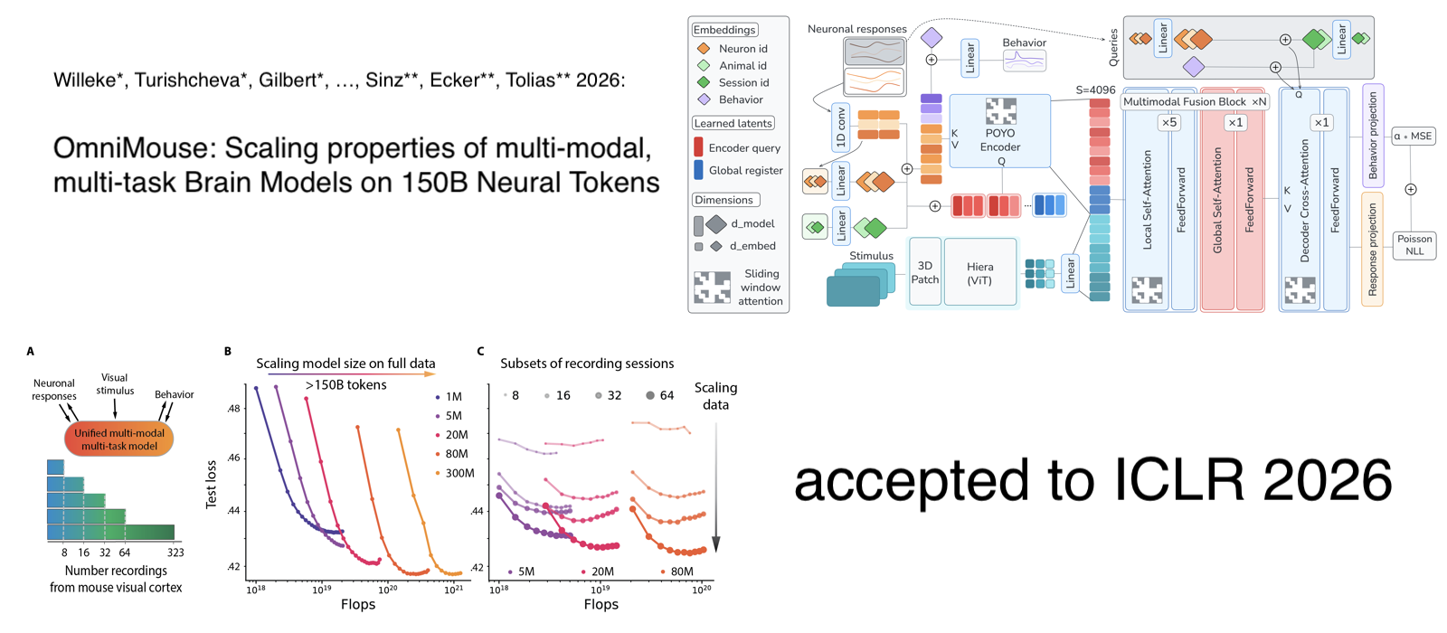 OmniMouse accepted to ICLR 2026