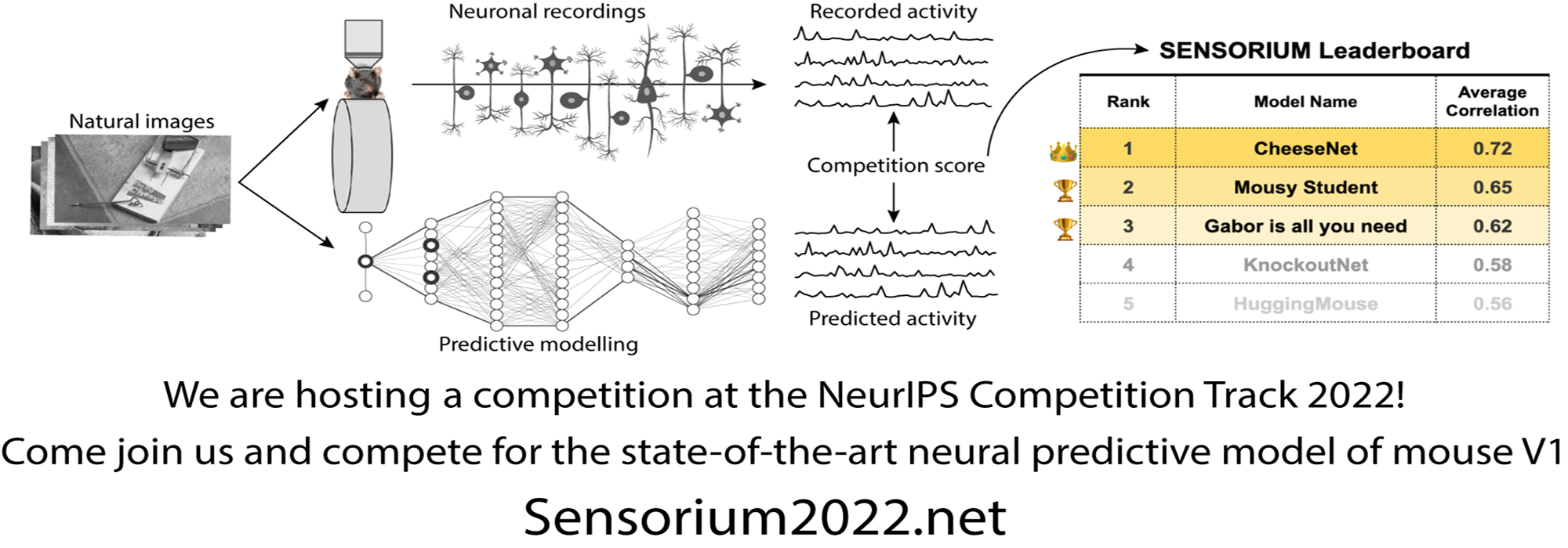 Sensorium 2022 prediction challenge at NeurIPS