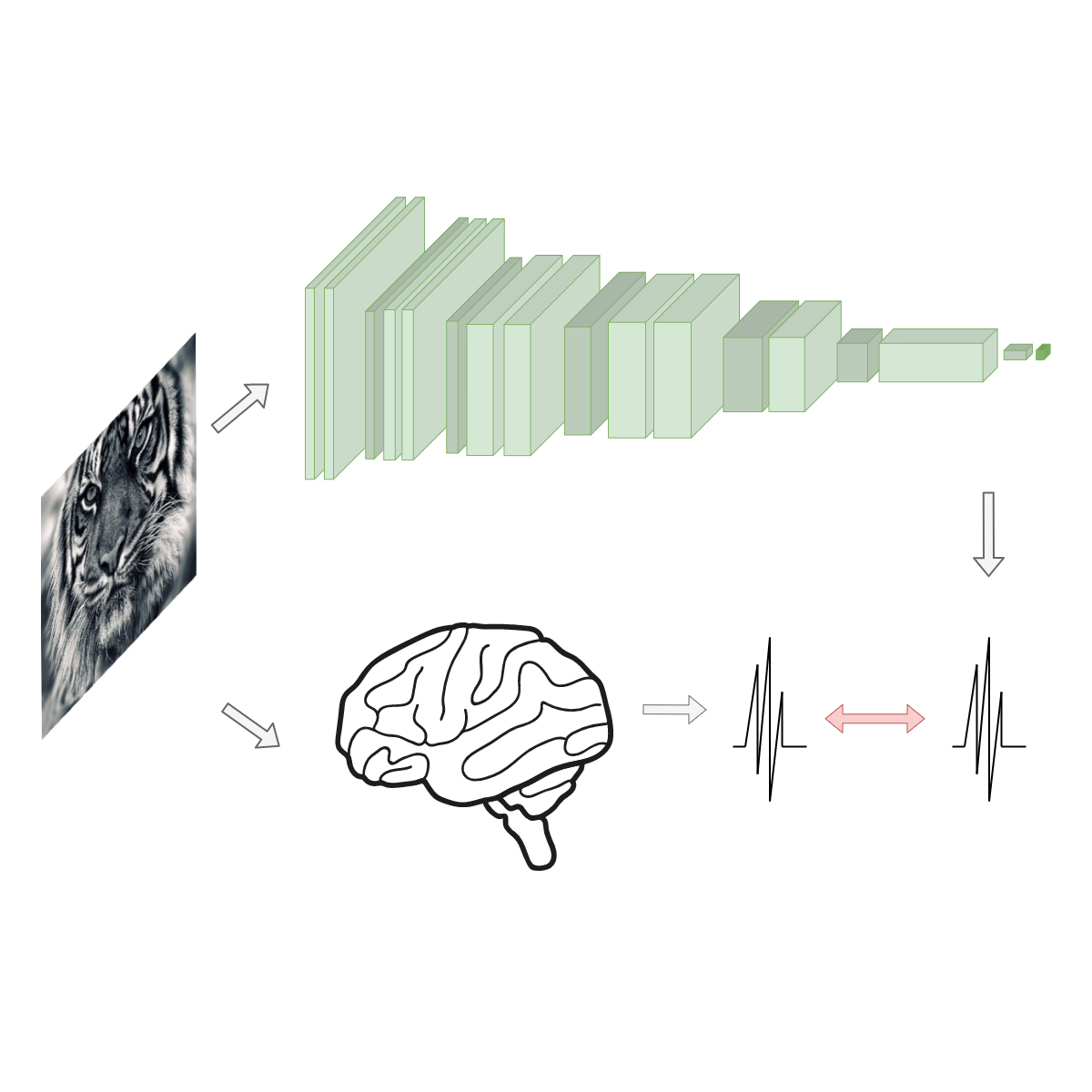 Inductive Bias Transfer